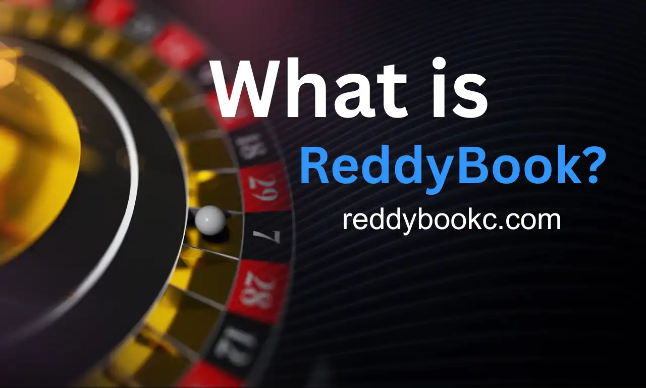 ReddyBook - Safe & Easy Betting for Winning Big 1 ReddyBook